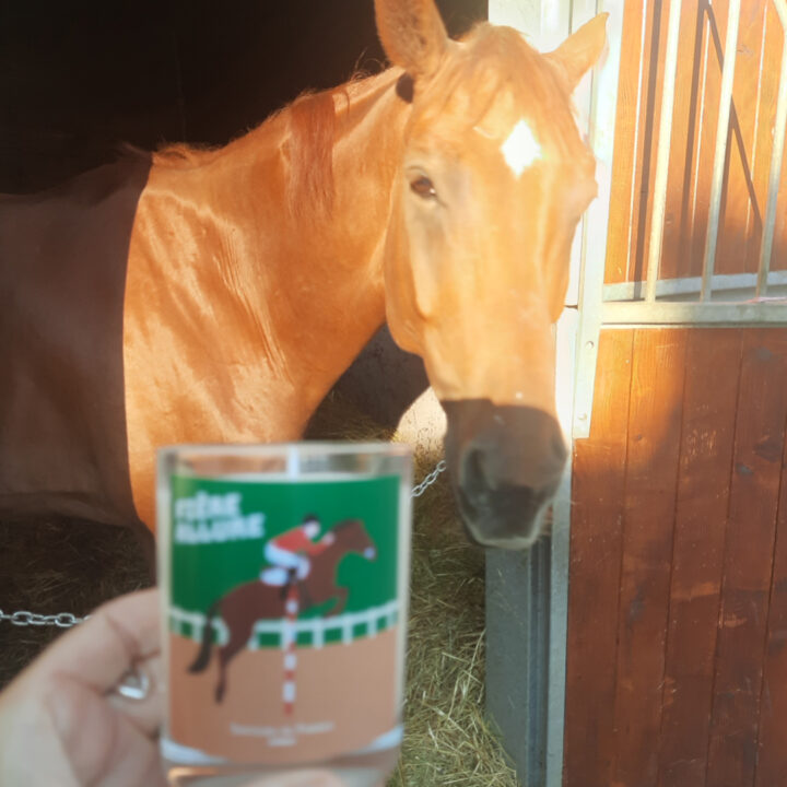 bougie ambre équitation